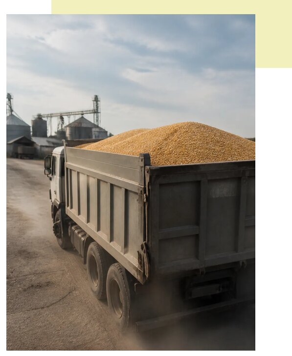 Перевозка сельхозпродукции навалом в Пятигорск по цене от 3082 р. | Агросервис-Птг